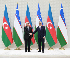 Əli Əsədov Özbəkistan Prezidenti ilə görüşüb - FOTOLAR