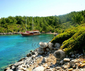 Məşhur düşərgədə dəhşət: Uşaqları…