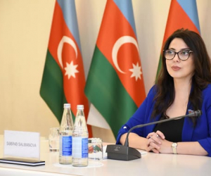 Deputatdan Şvabeyə etiraz:"Kimsə Azərbaycanla ultimatum dilində danışa bilməz"