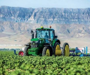 Fermerlər çətinlikdə: Subsidiya az, pul tapılmır, gəlir yoxdur