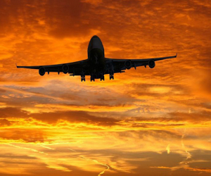 Aviareysləri bərpa edirlər