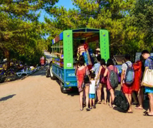 Minlərlə turist bu bölgəyə traktorla gedir