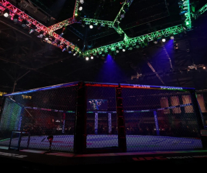 Bakıda "UFC Fight Night Baku" turnirinə start verildi