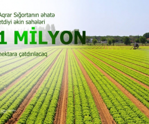 Aqrar sığortanın əhatə dairəsi genişləndiriləcək