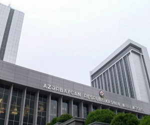 Milli Məclisin Dəstək Qrupu çağırış edib