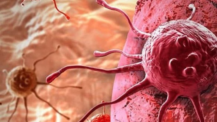 Onlar 500, insan tək: Hər addımda “hücuma” məruz qalırıq