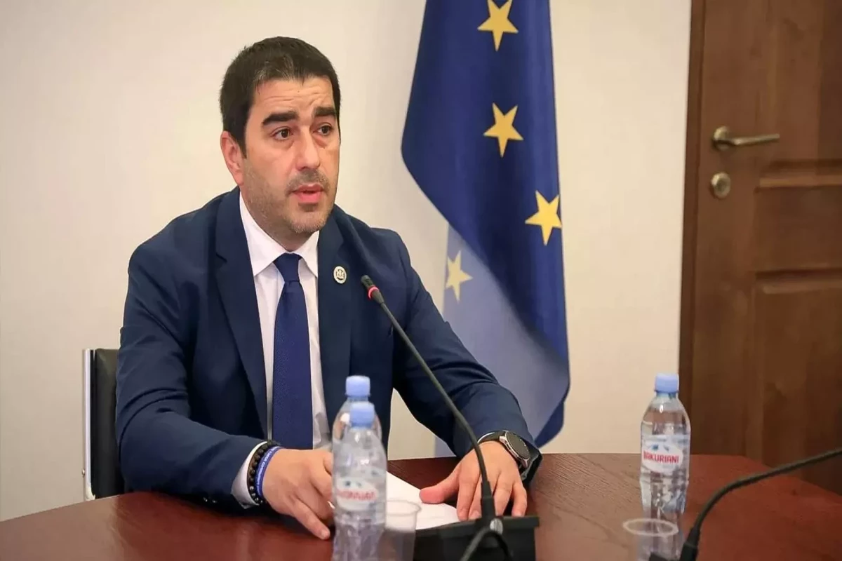Gürcü spiker Aİ-ni Ermənistanda müxalifətçilərin həbsinə reaksiya verməməkdə ittiham edib