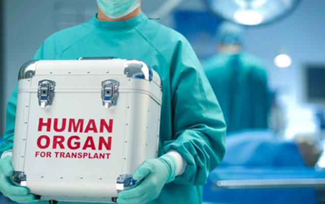 Baş nazirdən sümük iliyi transplantasiyası ilə bağlı qərar