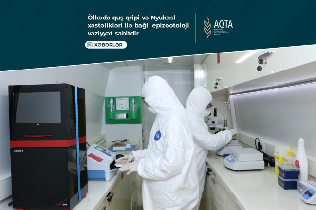 Quş qripi xəstəliyinə qarşı keçirilən monitorinqlərin nəticələri açıqlan