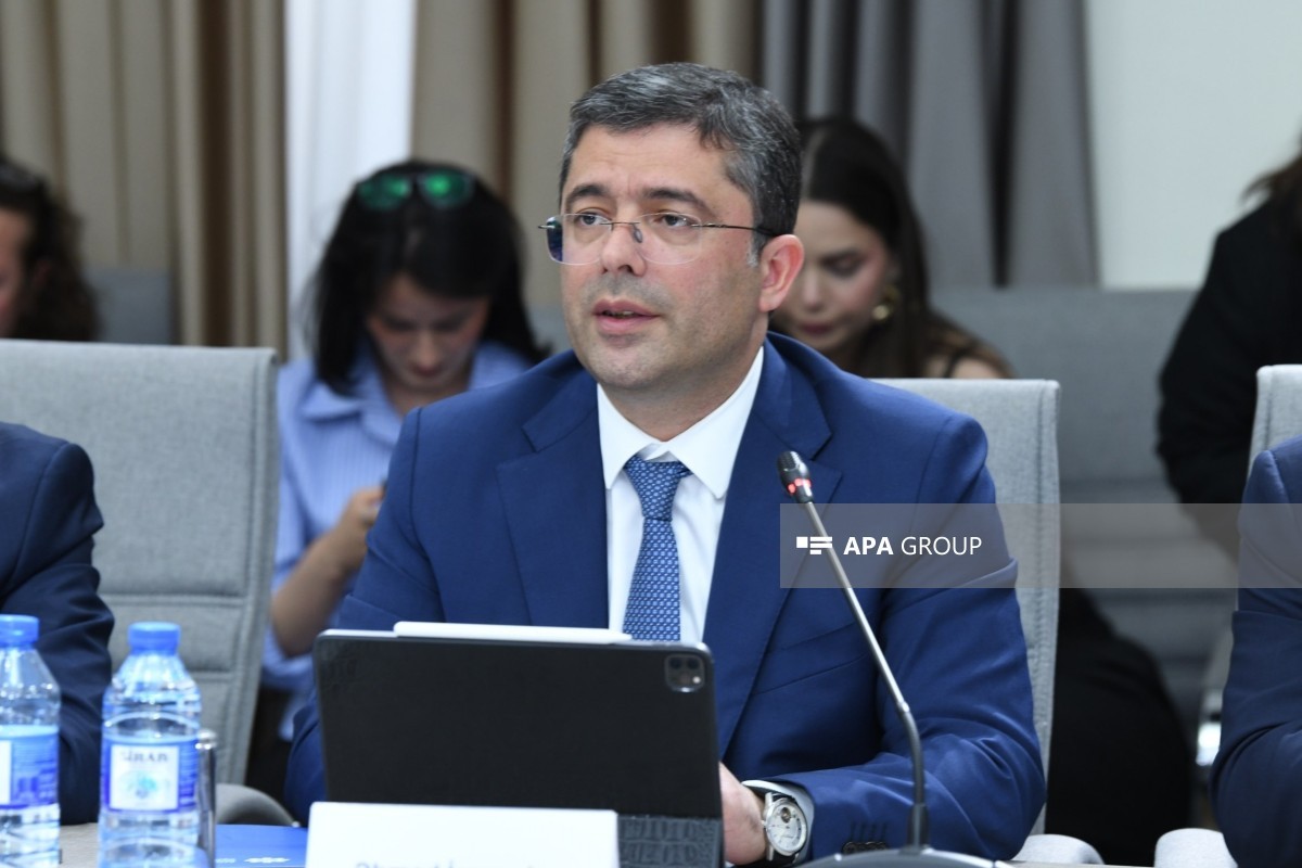 Əhməd İsmayılov: "Erkən yaşlarda sosial şəbəkə istifadəsi problemə səbəb ola bilər"