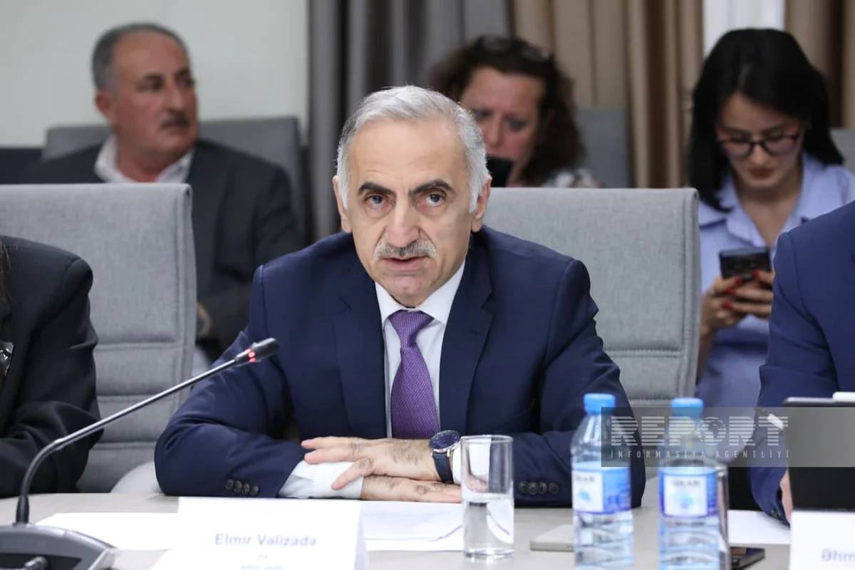Elmir Vəlizadə: "Uşaqları zərərli informasiyadan qorumaq böyük əhəmiyyət daşıyır"