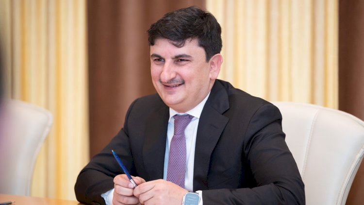 Agentlik sədri direktoru işdən çıxardı