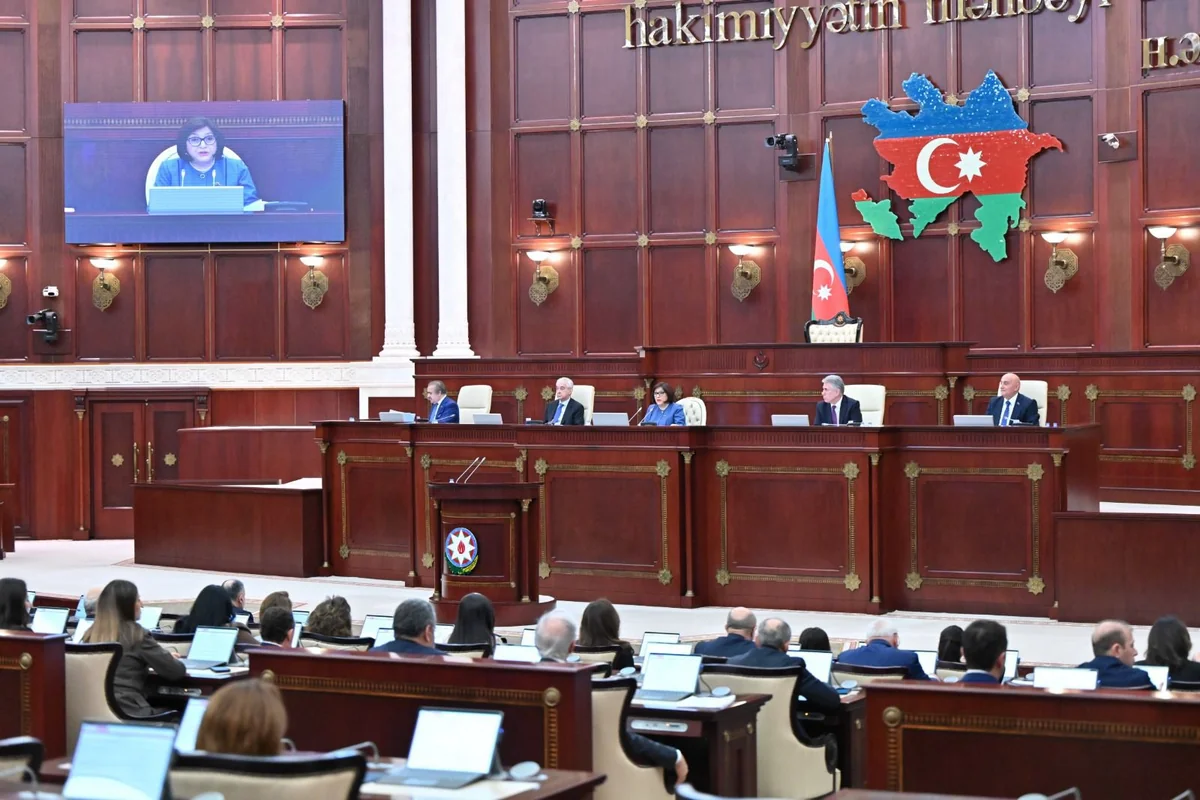 Dövlət büdcəsinin icrasına dair qanun layihəsi I oxunuşda qəbul olunub