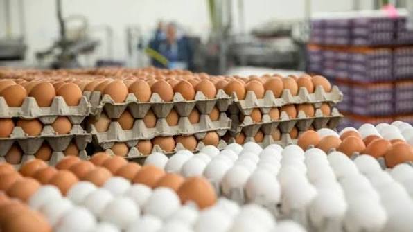 Yumurta havayı verilir: Kəskin ucuzlaşmanın səbəbləri açıqlandı