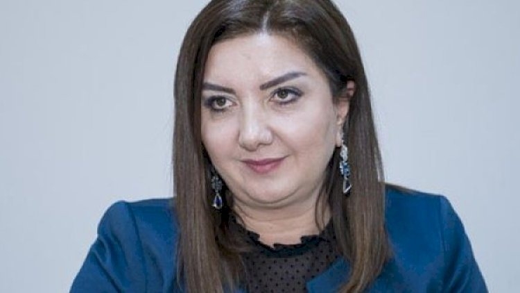 Nazilə Səfərli onu təhqir edən izləyicidən polisə şikayət etdi