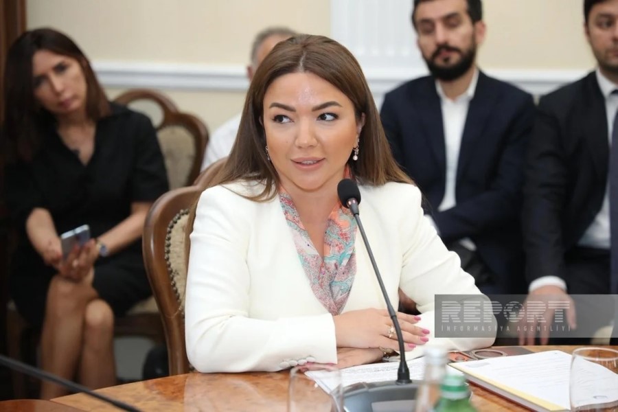 Aygün Əliyeva QHT-lərdən nəyi xahiş etdi?