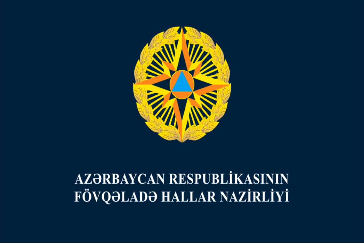 FHN: Lənkəranda dağlıq-meşəlik ərazidə itkin düşən 8 nəfər xilas edilib - VİDEO
