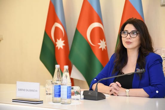 Deputatdan Şvabeyə etiraz:"Kimsə Azərbaycanla ultimatum dilində danışa bilməz"