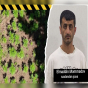 Hirkan Milli Parkında narkoplantasiya qurmuşdu - Polis saxladı-VİDEO