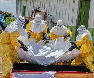 Eboladan ölənlərin sayı 490-ı ötüb