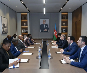 Ceyhun Bayramov Zimbabve Milli Assambleyasının sədri ilə görüşüb