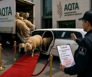 İqtisadçı AQTA-nı ittiham etdi: "Qoyun-quzu "Limuzin"də daşınmalıdır?"