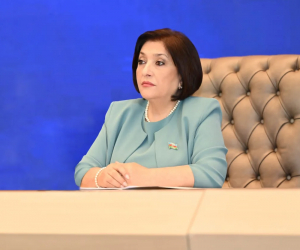 Sahibə Qafarova: "Silahlı münaqişələr zamanı ətraf mühitin qorunması..."