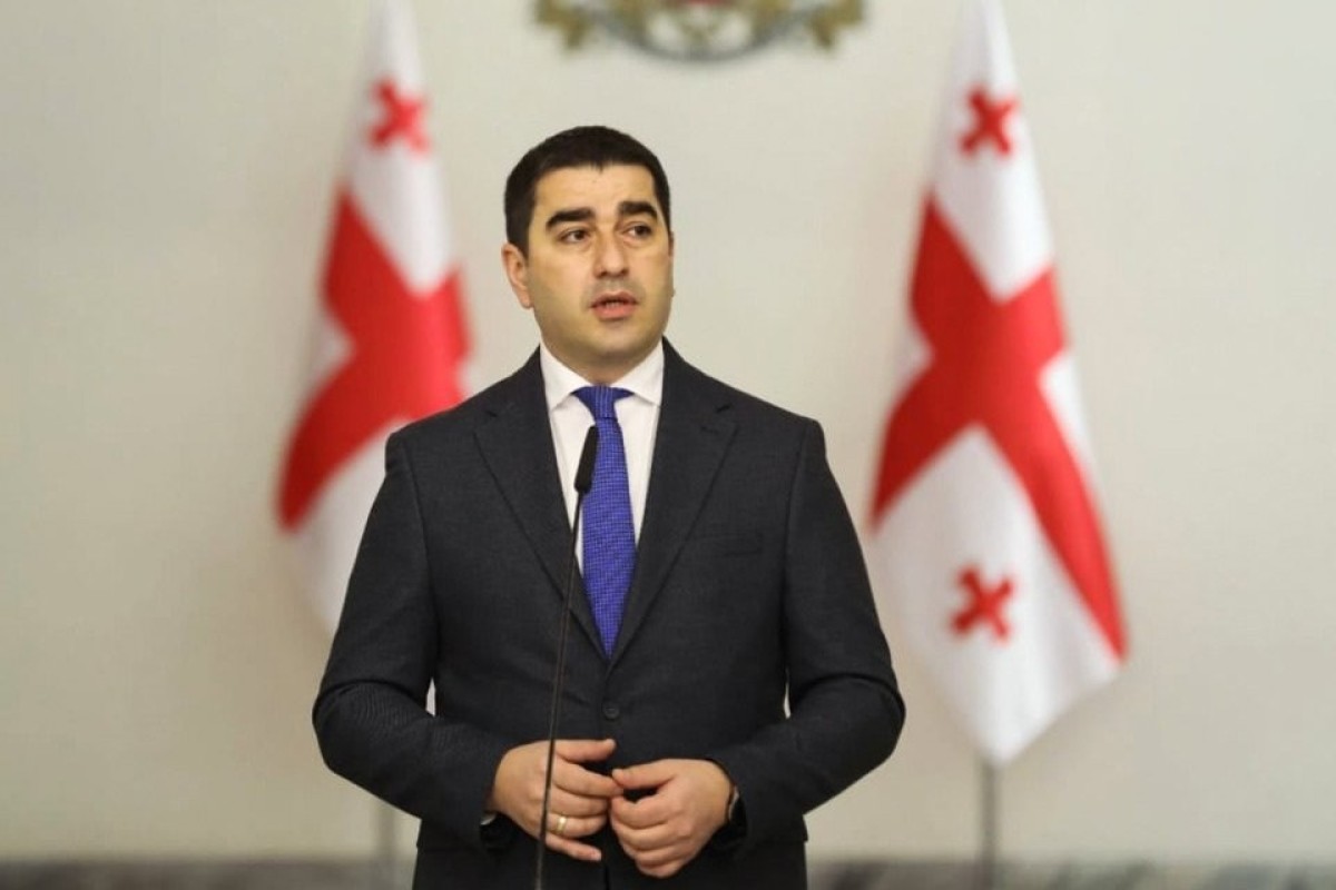 Papuaşvili ATƏT PA-nı Gürcüstana qarşı ədalətsizlikdə ittiham edib