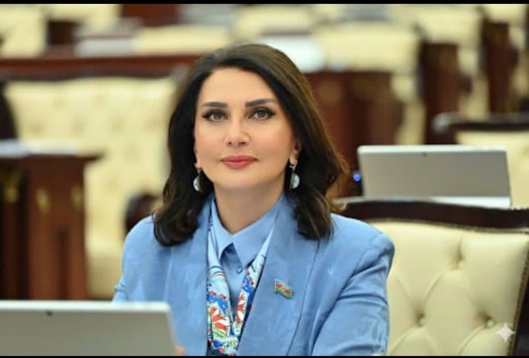 Qarabağa hər səfər: Böyük Qayıdışın yeni mərhələsi