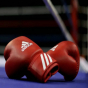 Bakıda boks üzrə İBA Çempionlar Gecəsi keçiriləcək