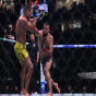 Bakıdakı UFC turniri sosial mediada 297 milyon baxış toplayıb