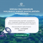Malıbəylilərə əkin üçün torpaqlar verilməsinə başlanılır