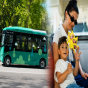 Bu avtobuslar ödənişsiz olacaq